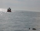A Coast Guard patrol craft responds after a request from the Virginia Aquarium Stranding Response Team.