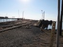 The railroad tracks run between the town and the dock and are still in use for industrial and commercial traffic.