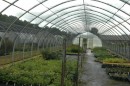 Plants are grown in a number of greenhouses.