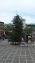 Christmas tree in town square