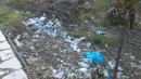 Seen all over Greece in there thousands, fresh water bottles, dumped at the side of the road. I