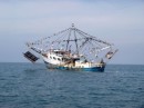 A typical "Shrimper" anchored near San Blas with its complement of Pelicans.
