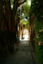 This was the entrance to the hotel, a narrow, steep and picturesque alley.