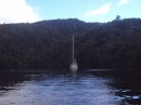 Here is Active Transport anchored on the Gordon River.  This was an extremely peaceful place to spend the night as we were completely sheltered from the wind by the hills above the banks of the river.