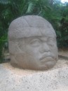 The most famous of the Olmec sculptures are referred to as colossal heads like the one shown here.  These things were up to 6 feet tall.  Most looked like they were wearing helmets so are thought to represent warriors.  The Olmec ruling class intermarried so there are many birth defects shown in their sculptures.  The archeologists tell us that the culture revered birth defects as signs of high status.  The Olmecs also practiced cranial deformation where they shaped the heads of newborn infants to try and make the face look more like that of a Jaguar (revered god/animal).  They also dangled shingy stones right in the middle of the infants