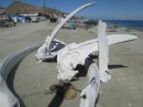 Here are some whale bones on the beach on Isla Magdalena.