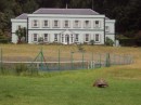 this is government house with its resident giant tortoise wandering on the lawn.  The tortoise is not native to the island but was a gift to an earlier governor.  He is well over 100 years old.