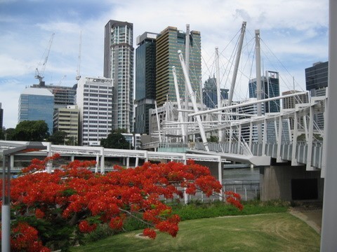 This is the Kurilpa pedestrian bridge across the river from the Cultural center to the CBD.

The unusual design of the bridge was responsible for it winning the world architectural award for the world