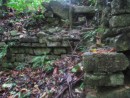 More un-excavated ruins showing through the jungle.  IT is easy to see how the jungle growth destroys the structures.