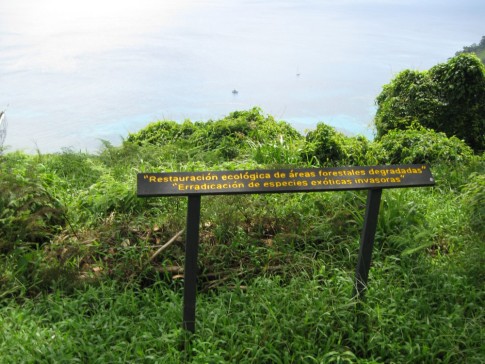 The path is maintained by the rangers who also made some signs for the benefit of visitors.