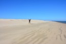 We took a short walk on the sand dunes that are part of the barrier islands that protect the bay from the open ocean.  Claudia was very enthusiastic about these sand dunes since  they were the first place she and Brian put their dingy on the shore when they started their Pacific voyage.
