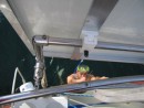 John snapped this pic of Shawn while he was hanging onto the side of the boat to catch his breath between dives to clean the  prop.  The water temperature was around 64 degrees that day so he did not get much argument from John when he volunteered to go over the side and see what the problem was.