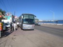 Here is the bus that stopped for the driver