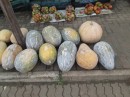 On our trip back to the yacht club we stopped at a vegetable market on the side of the road.  These big pumpkins were on the curb of the market since I suppose nobody wanted to have to carry one very far after buying it. 