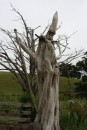 Loved the way this tree trunk had been made into a piece of sculpture