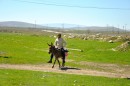 Yes, they still use donkeys for transport - cars and other luxuries are extremely expensive in Turkey
