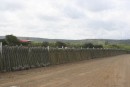 Cactus fence - amazing we thought