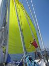 Spinnaker up in the Chesapeake