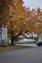 Autumn at East Greenich RI