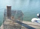 Nearly every house here has a crab pot on the dock