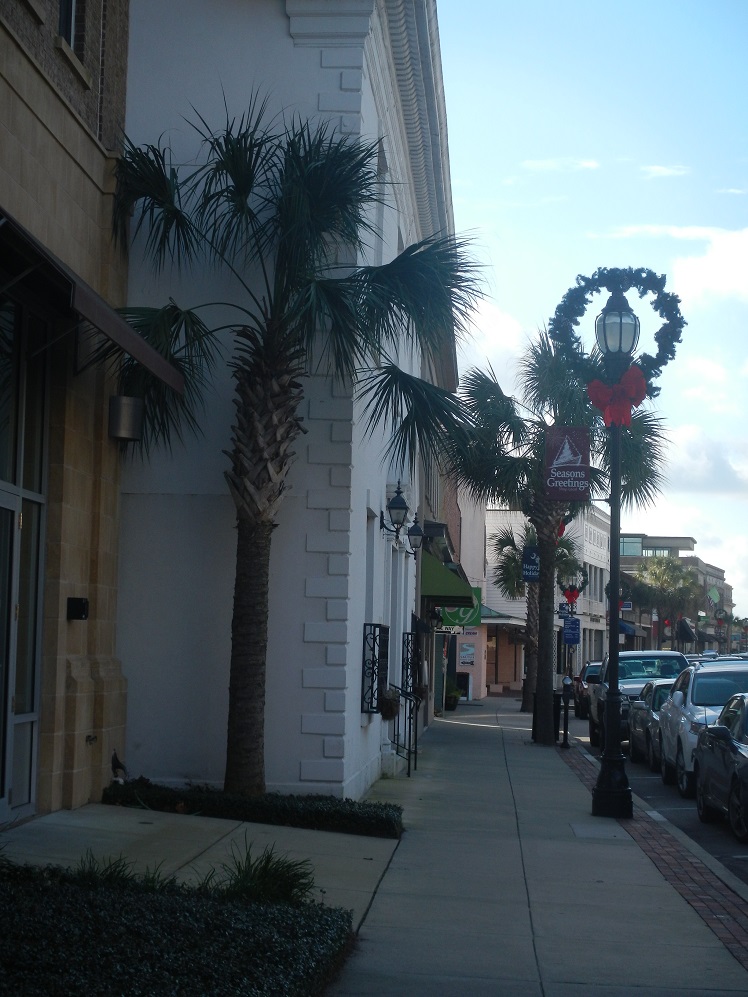 Christmas in the South: Beaufort NC main street holiday decorations seem so out of place with temps in the high 70s and no snow!  It amazed me that most of the stores were full of fall/winter merchandise, including boots, in a climate where it isn