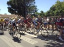 The Tour de France in Provence.