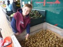 In the land of kiwi fruit. We found a store that sells them for $1.69/kilo. At about 10 kiwi per kilo, we