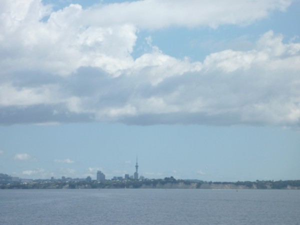 Auckland sky line.