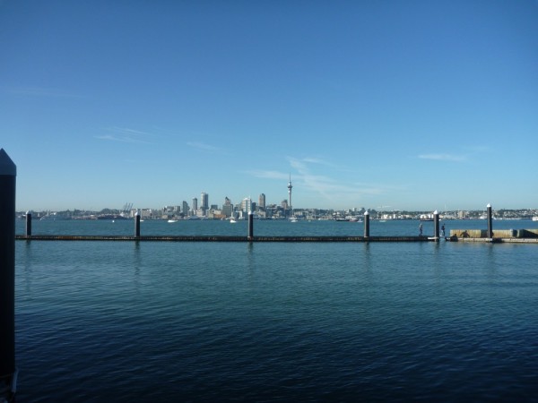 View of downtown Auckland from the marina.