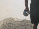 A fisherman returns a Pufferfish to the sea