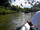 The village chief escorts us through the mangroves to a Church ceremony