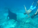 Tom gets friendly with a manta ray