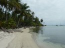 Palmenstrand in den Hollandes Cays.