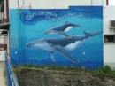 Tolle Wandmalerei von Buckelwalen. Diese Riesen der Meere verirren sich manchmal in das Labyrinth der Vavau Inselgruppe.