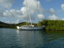 Ein Boot liegt in den Mangroven auf Carriacou. Die Mangroven werden als Hurrikane Schutzhafen benutzt.
