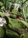 Rock markers on the route to the waterfall on Fatu Hiva.  