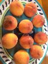 Local peaches: The Maryland peaches are spectacular right now. So far - besides fresh eating - we