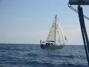 Sareda sailing under main, boomed out yankee and staysail.