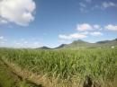 Mauritius: Im Inselinneren, Zuckerrohrfelder bestimmen das Bild.