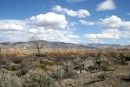 Highway 395, Nevada
April 2012