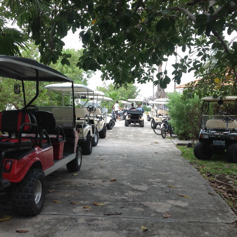 So many golf carts lining the path at the marina/resort