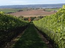 Lucketts Winery, Annapolis Valley, NS