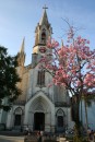 church and blossoms