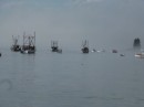 Lobster boats galore in the Port Clyde fog