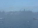 Fog in Port Clyde