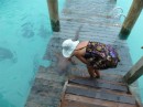 petting the Nurse sharks at Compass Cay