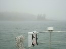 More fog at Mackerel Cove