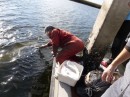 Geoff feeding the dolphins