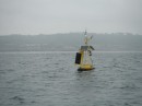 weather buoy off SD 