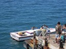 A couple pelicans along for the ride with a boat in Puerto Vallerta